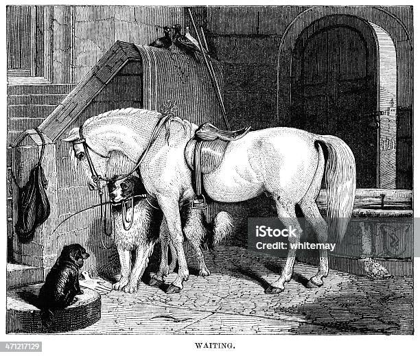 Victorian Ilustração De Cavalo E Cães À Espera Que O Mestre - Arte vetorial de stock e mais imagens de Confiança