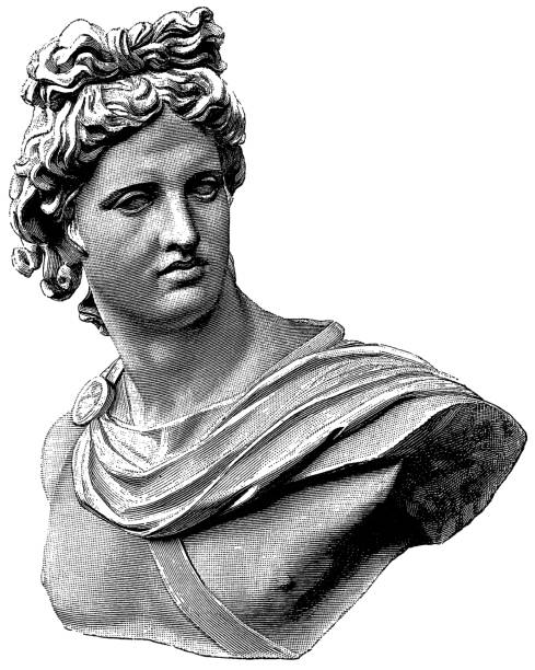 apollo belvedere - classical greek greece roman god god stock illustrations