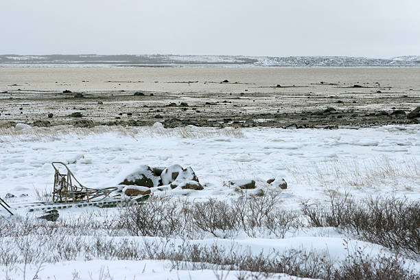 Dog sled and Churchill River, Manitoba Canada