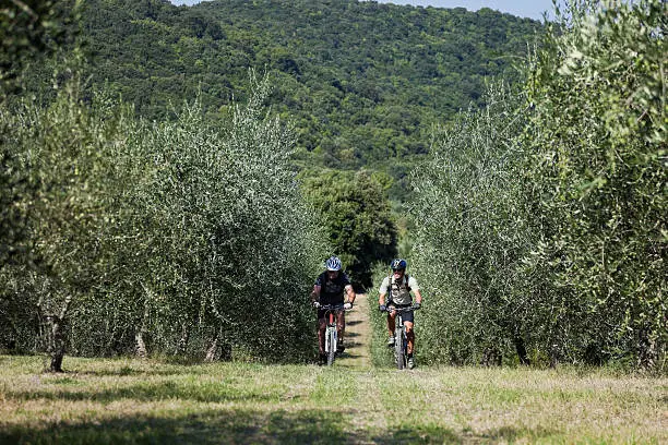 Two male mountainbikers are crossing an olive grove in the northern part of Umbria, Italy.