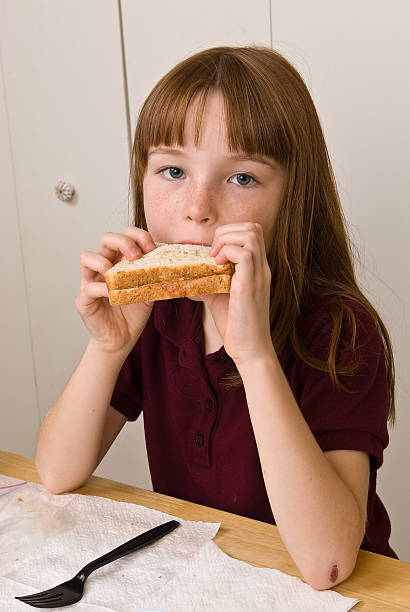 Young school girl eating lunch stock photo