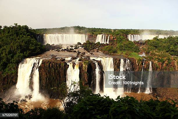 W Iguazu Falls W Argentynie - zdjęcia stockowe i więcej obrazów Amazonka - Rzeka - Amazonka - Rzeka, Amazoński las deszczowy, Las