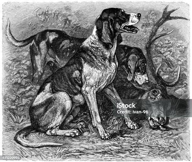 Deerhound - Arte vetorial de stock e mais imagens de Analisar - Analisar, Animais caçando, Animal