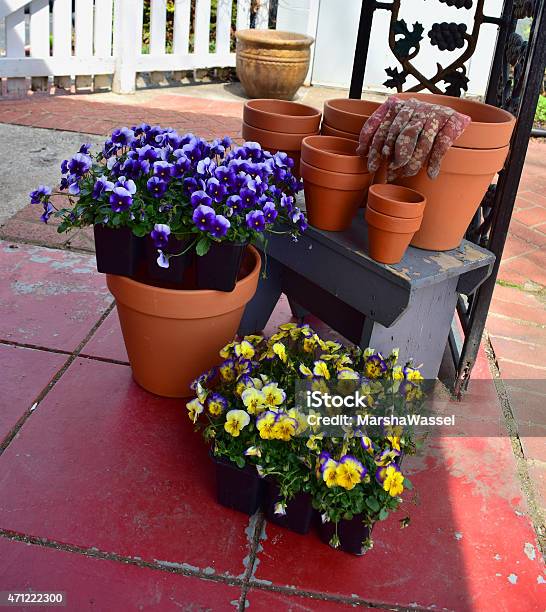 Spring Gardening Stock Photo - Download Image Now - 2015, Flower, Gardening