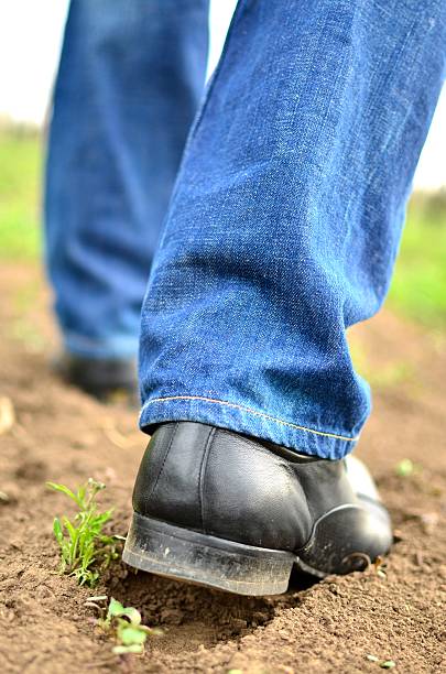 istock Male feet walking on the soil 471222576
