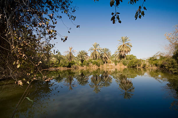 istock Neot kedumim, Israel 471223301
