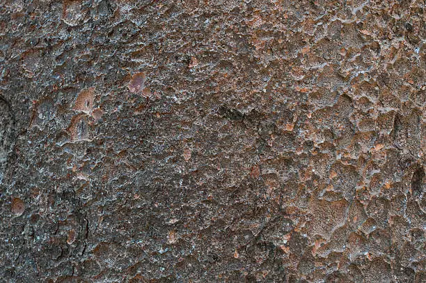 Abstract background from the bark of a Kauri tree.