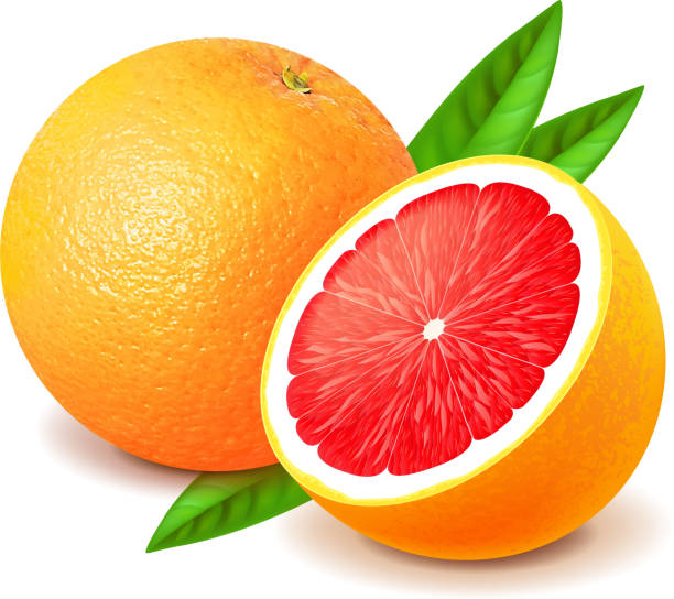 자몽 및 절편 흰색 바탕에 그림자와 벡터 - grapefruit fruit freshness pink stock illustrations