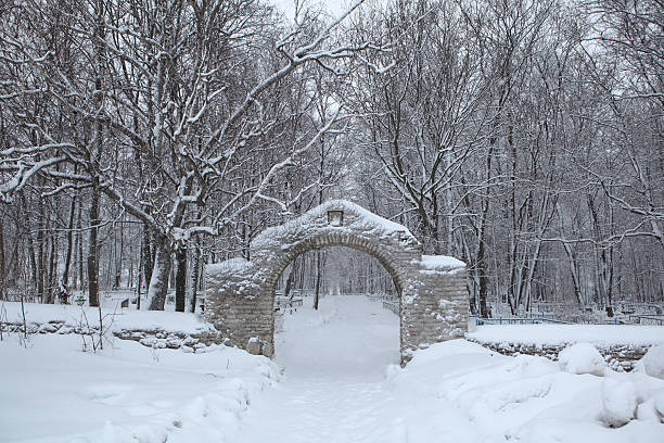 Russian winter. Cemetery gate in Izborsk near Pskov, Russia. Russian winter. Cemetery gate in the town of Izborsk near Pskov, Russia. pskov russia stock pictures, royalty-free photos & images