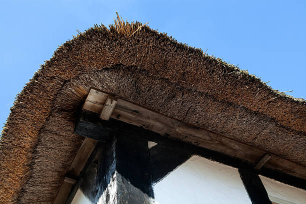 istock corner detail of thatched cottage 471228823