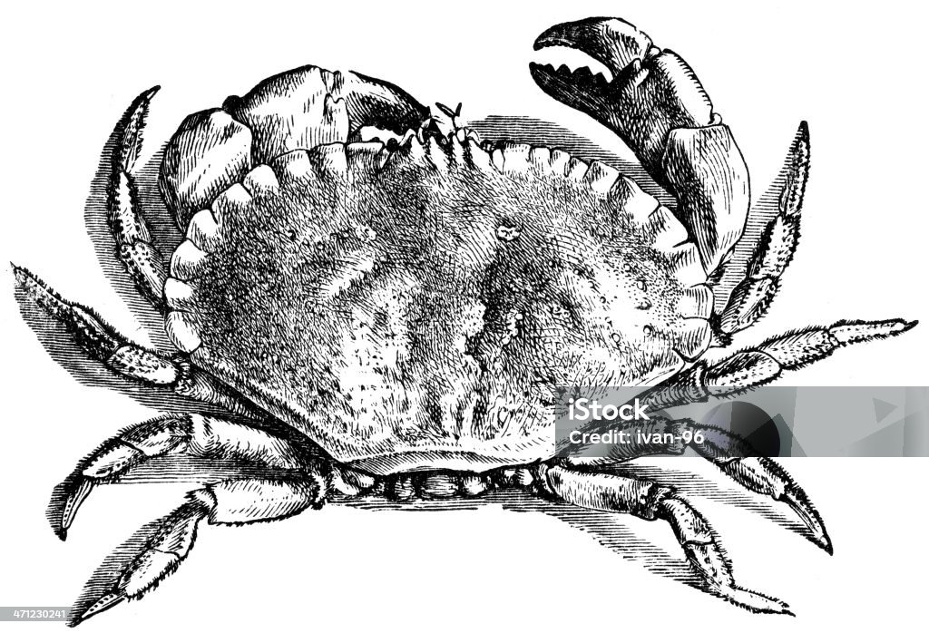 Crabe - Illustration de Aliment libre de droits