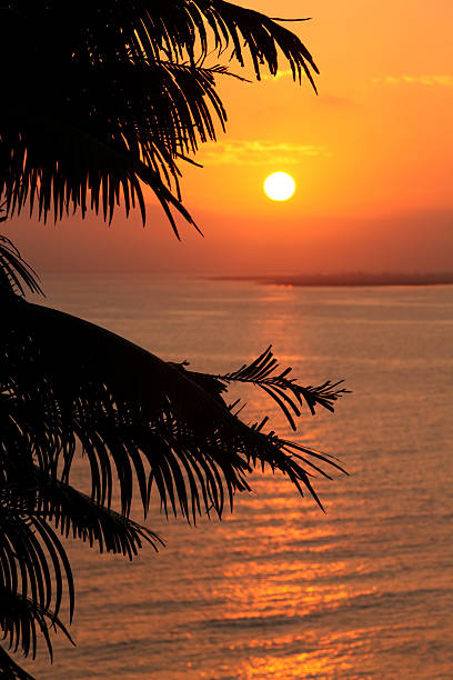 istock Beauty of sunset 471231559