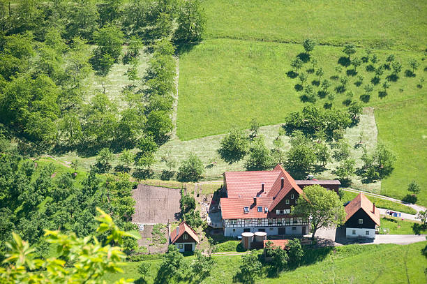 Black Forest farm  with garden and pasture in summer. Aerial view. Germany