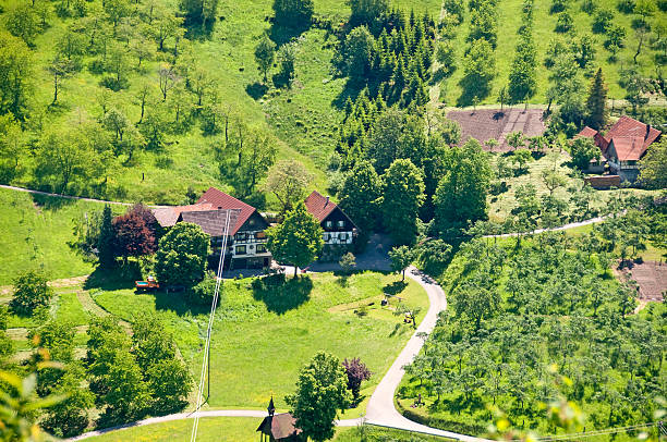 istock Aerial view beautiful Black Forest valley farm trees meadows 471233449