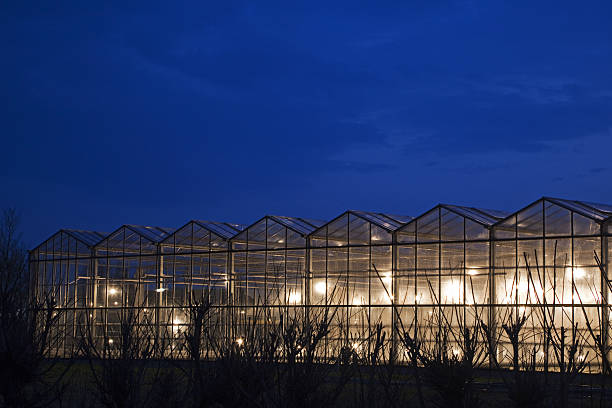 istock Greenhouse # 21 XXL 471233571