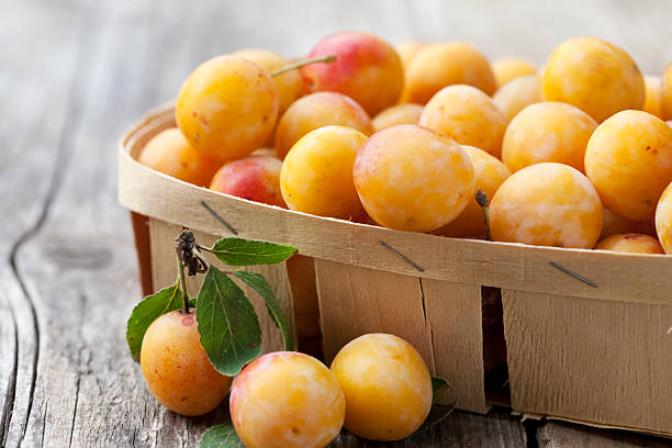 Chip basket full of fresh small yellow plums (mirabelles) stock photo