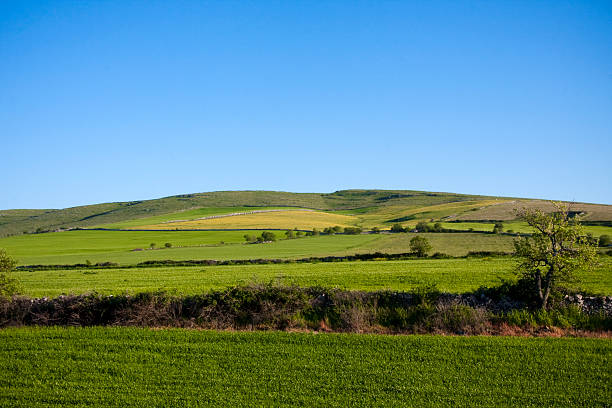 istock Landscape in the Murge National Park 471235453