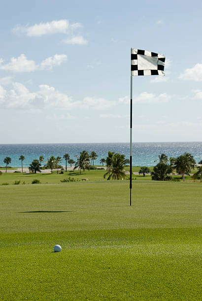 istock Golf Course with Ocean View, Flag and Ball 471235557