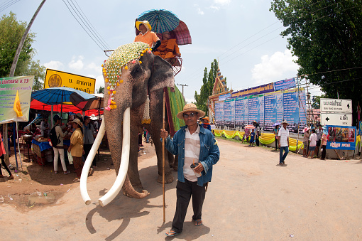 Surin,Thailand-May 23,2013 : Ordination Parade on Elephant’s Back Festival is when elephants parade and carry Novice monk on their backs at  Wat Chang Sawang to Moon river on May 23 , 2013 in Surin Province , Northeast of Thailand.