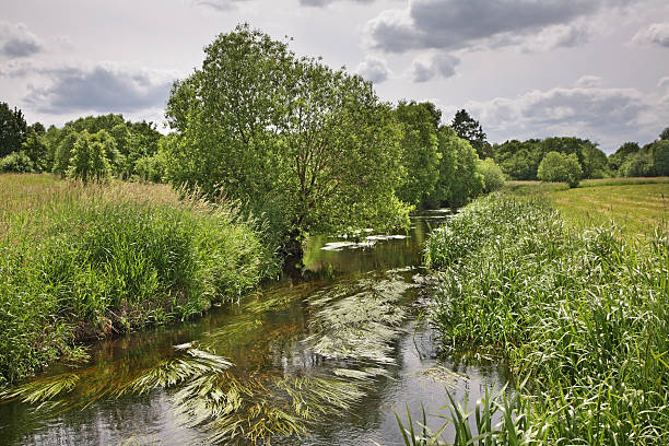 istock Forest and river near Siauliai. Lithuania 471235948