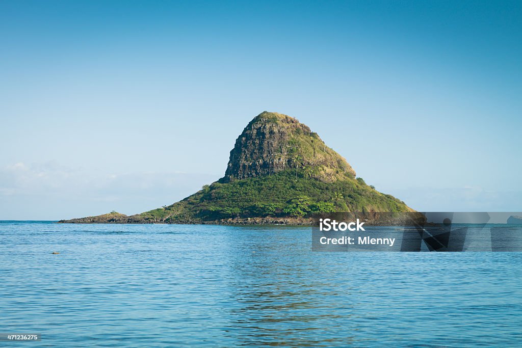 Kaninchen auf der Insel Oahu, Hawaii - Lizenzfrei Berggipfel Stock-Foto