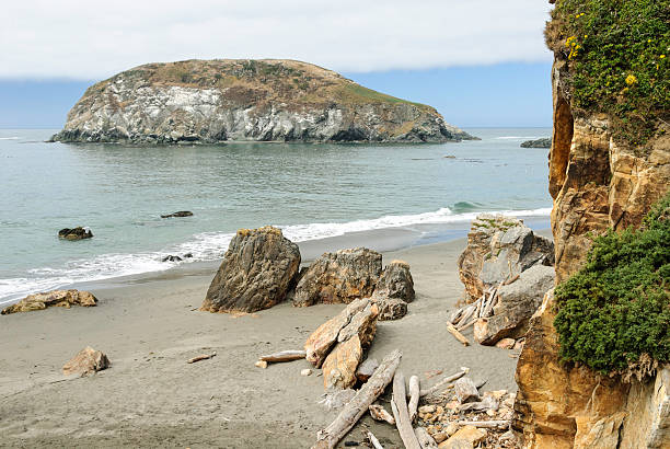 istock Shoreline Scene in california 471236280