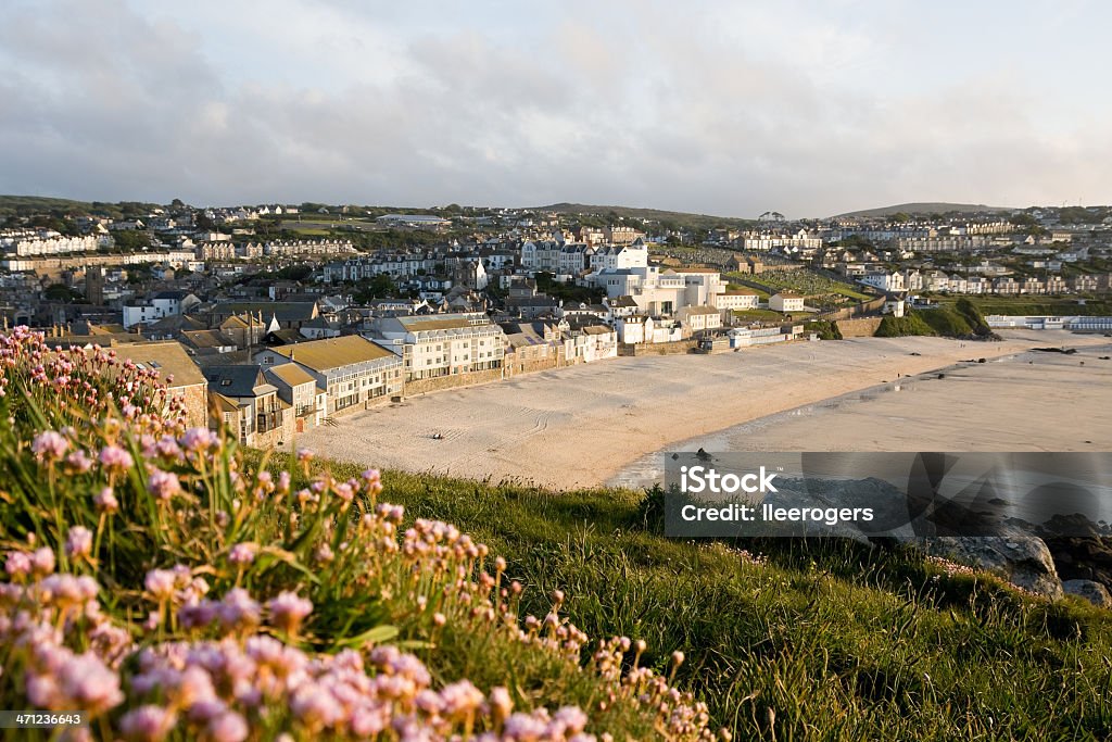 Porthmeor beach in St Ives on the coast of Cornwall The beach and town are a very popular summertime tourist destination. There is thrift in the foreground and the beach is quiete at low tide. There are buildings of the town behind the beach and on the hillside. Atlantic Ocean Stock Photo