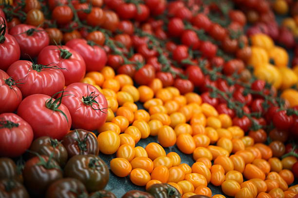 Tomatoe variety stock photo