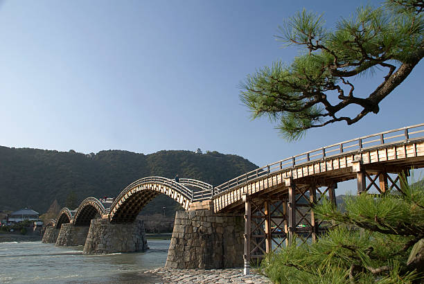 錦帯橋、パイン - 山口 ストックフォトと画像