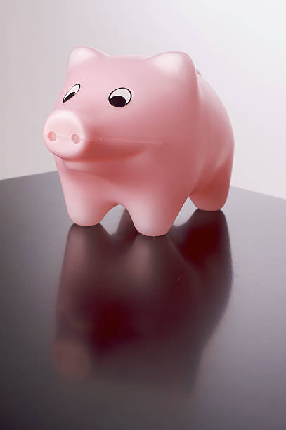 istock Piggy Bank 471239445