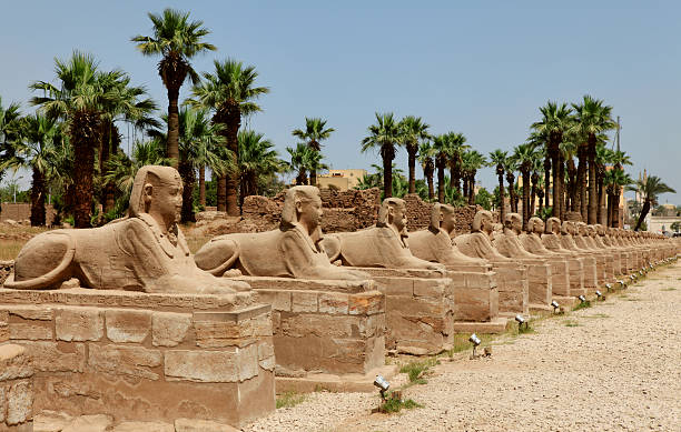 avenue のスフィンクスの - egypt egyptian culture column ancient egyptian culture ストックフォトと画像