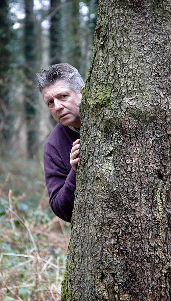 istock Mature man peeking out from woodland tree 471240367