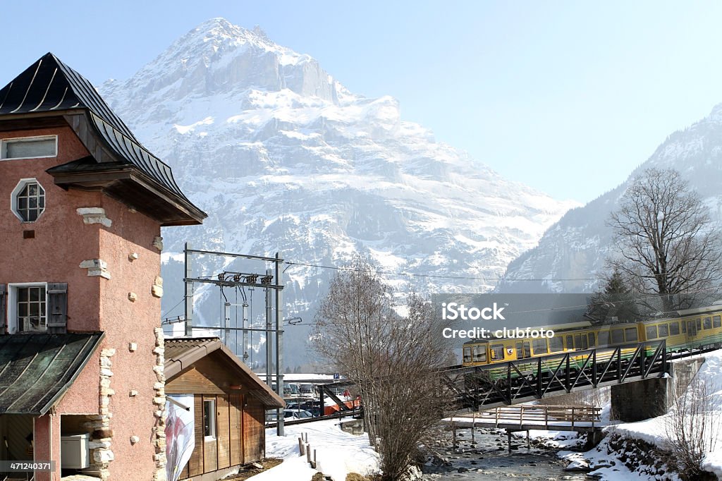 山の魅力満点のスイス鉄道から Grindlewald を Kleine Scheidegg - アイガーのロイヤリティフリーストックフォト
