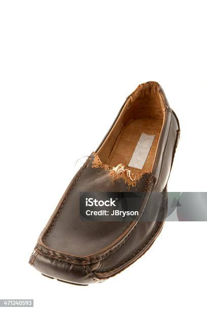 Mens Brown Loafer Shoe Chewed By A Puppy Stock Photo - Download Image Now - Chewed, Shoe, White Background