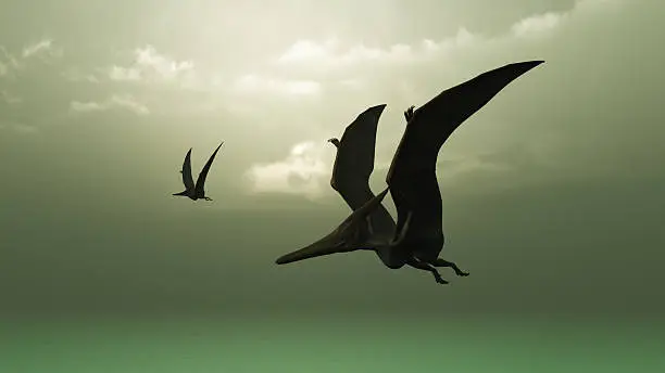 Pteranodons flying against a prehistoric background.