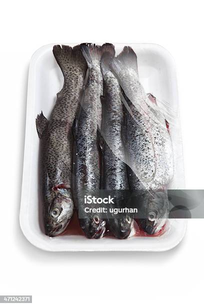 Pescado Foto de stock y más banco de imágenes de Alimento - Alimento, Animal, Animal muerto