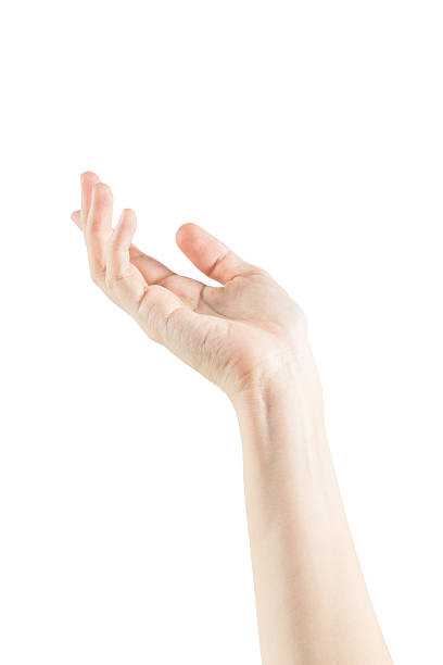istock Empty female woman hand holding 471242666