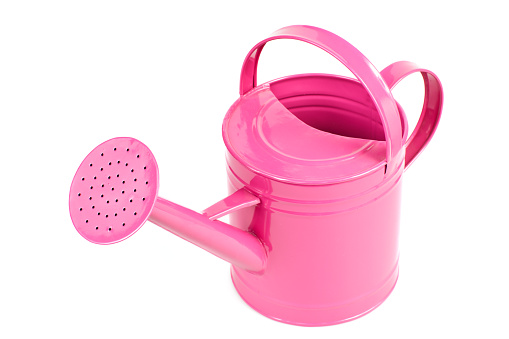 Pink Watering can - Studio Shot