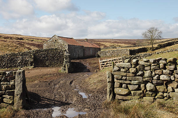 Farm buildings on the North York Moors, North Yorkshire, England.