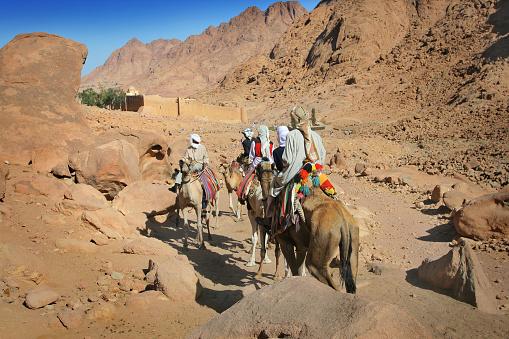 Bedouins on camels in front of Saint Catherine monastery, Egypt