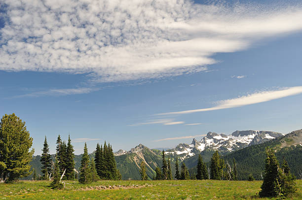istock Scenery at Mt Rainier National Park 471243651
