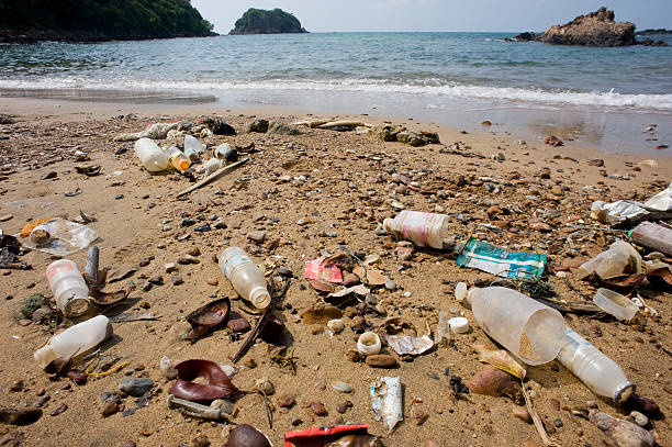 Rubbish in the Beach.