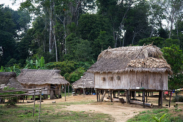 istock Suriname, village. 471244761
