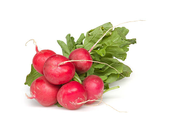 istock bunch of radishes 471245003