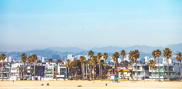 венис-бич, калифорния. - palm tree california city of los angeles venice beach стоковые фото и изображения