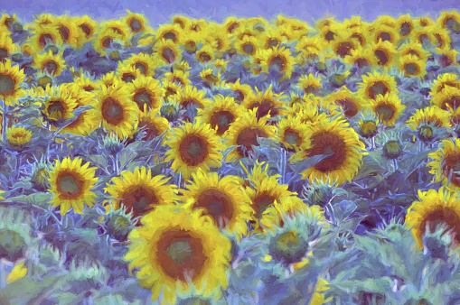 Digital art paint composition, field sunflower, sunny day