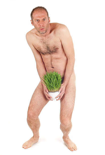 nude man and grass stock photo