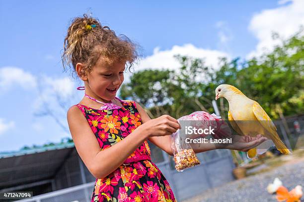 Feeding Pigeons Stock Photo - Download Image Now - 2015, Cheerful, Child