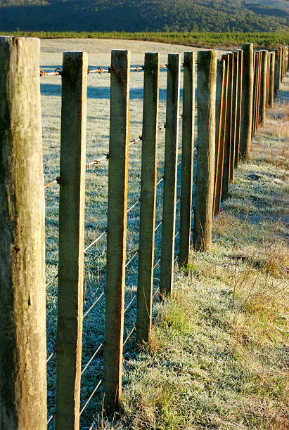 istock Fenceline Frosty Morning 471247161