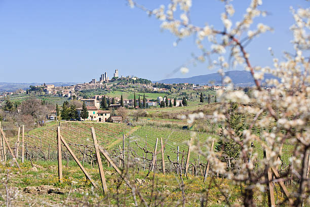 istock View to San Gimignano, Tuscany, Italy 471249055